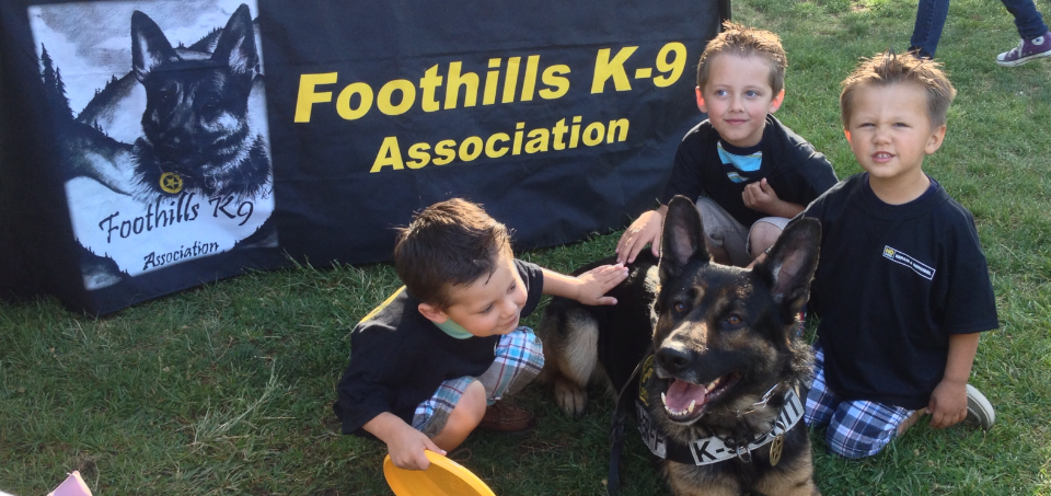 Come Meet Our Dogs